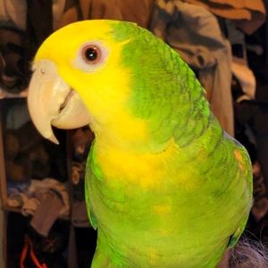 Meet your Posher, Bethany